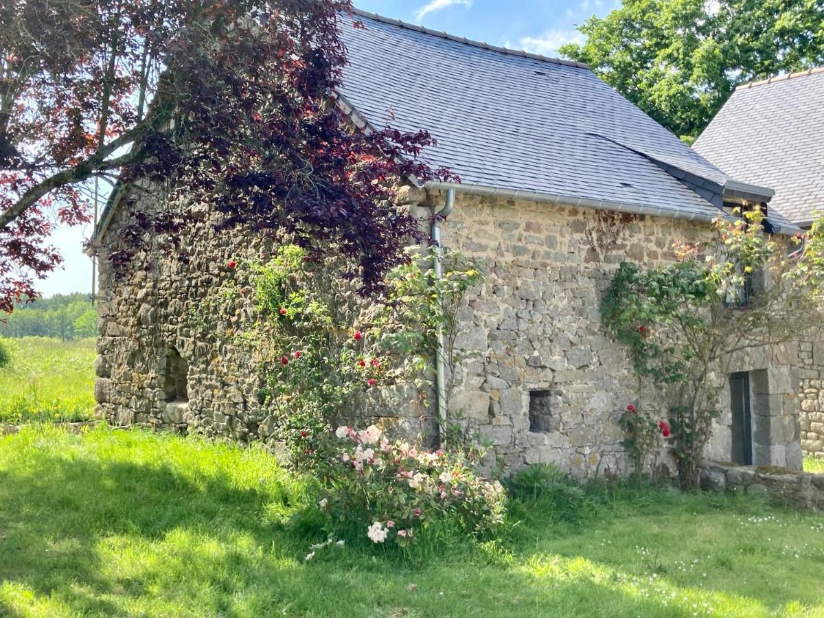Le Nid De La Breizhidence Villa Комбург Екстериор снимка